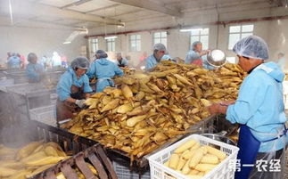 山西大同 農(nóng)產(chǎn)品加工業(yè)銷售破43億元，產(chǎn)業(yè)結(jié)構(gòu)優(yōu)化升級