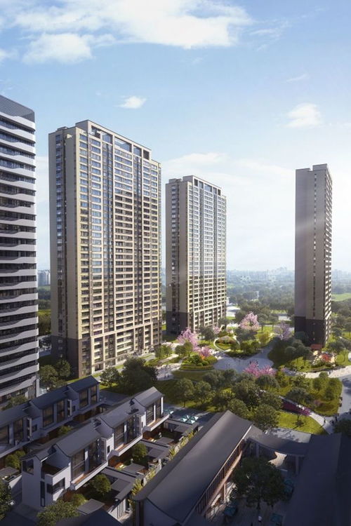 多維度解析辰雨如畫 冠魯房地產(chǎn)開(kāi)發(fā)與濟(jì)寧豐碩置業(yè)的匠心之作